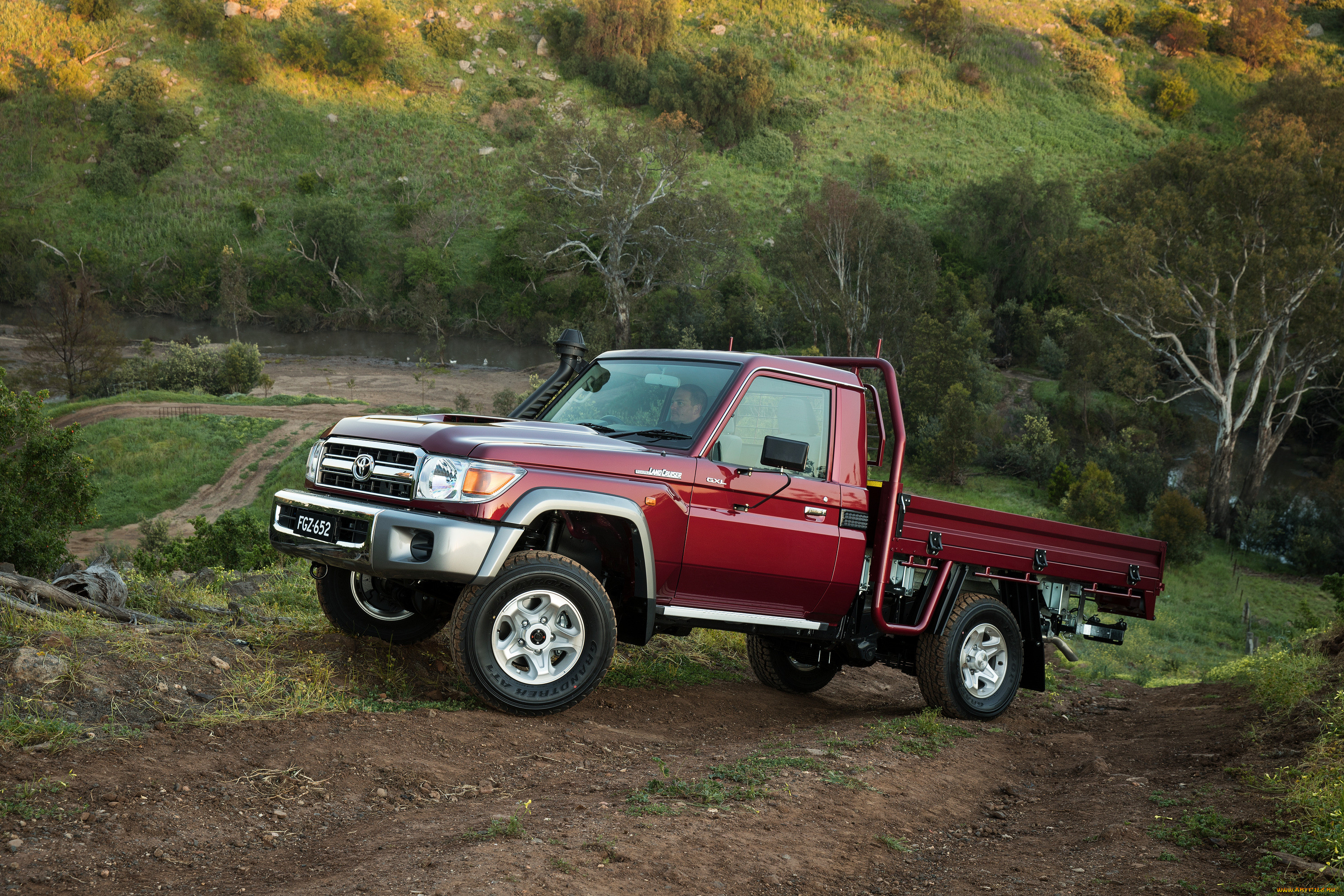, toyota
